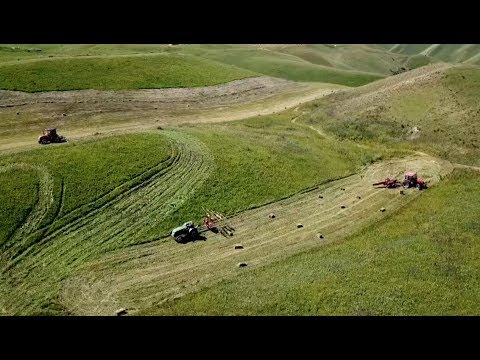 China's Xinjiang Region Ushers in Harvest Season for Native Pasture newspaper mockup