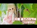 66회 서울 돌프리마켓 다녀왔어욤 '-' - 달려라치킨