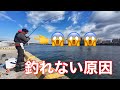 冬に黒鯛を釣るための３つの重要ポイント【チヌフカセ釣り】