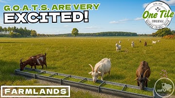 These G.O.A.T.S. are going to fool everyone | One Tile Challenge on Farmlands - Farming Simulator 25