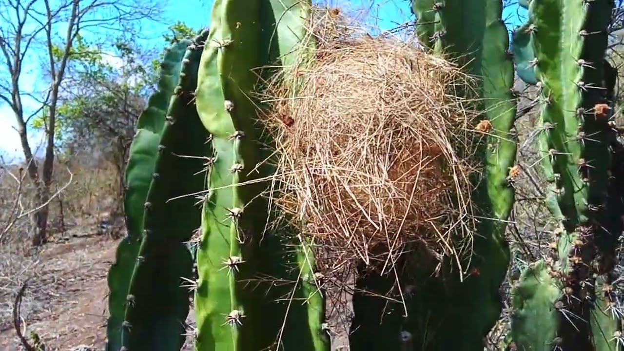 10 de fevereiro de 2026