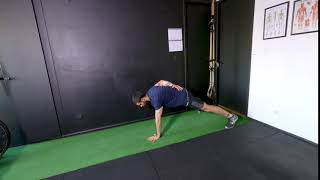 3 POINTER PLANK