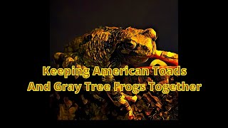 Celebrity Can American Toads and Gray Tree Frogs Get Along? Net Worth