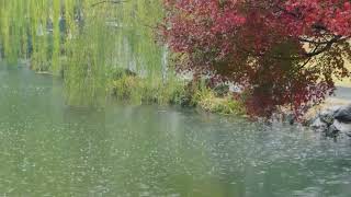 The beautiful little lake is raining(33) , sleep, relax, meditate, study, work, ASMR