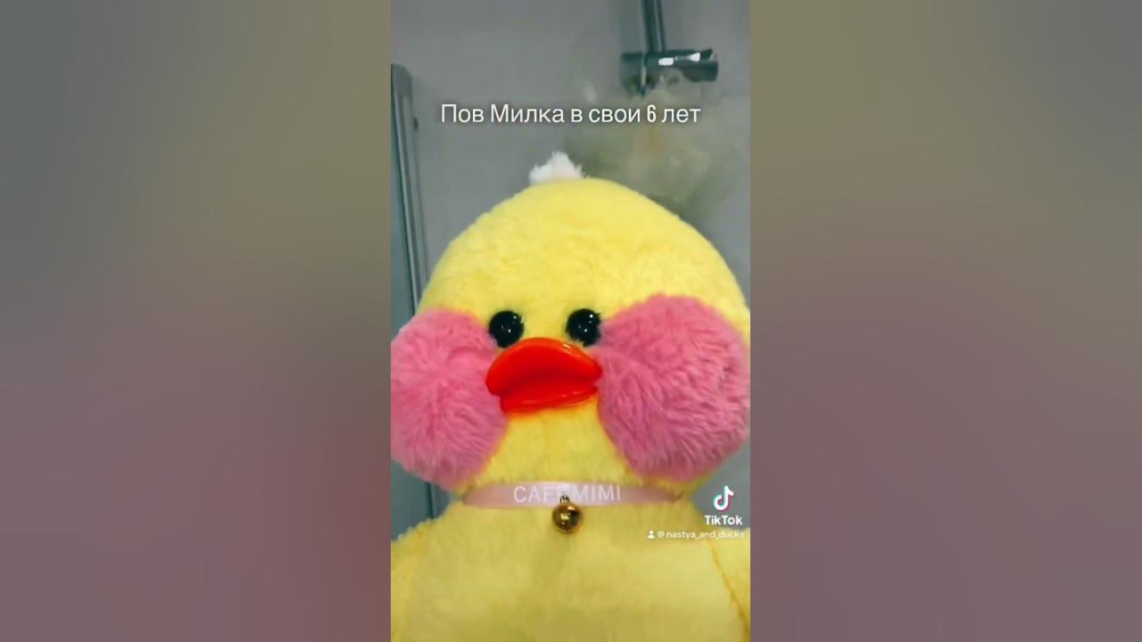 Утка из лайка