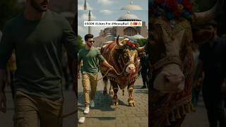 Istanbul Heavy Bul 🇹🇷 Qurbani @TinyKitten64 @RandomStuffs757 @AiWorld873 @Dailyshorts436 #travel