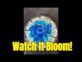 Watch 3D RESIN Flowers Bloom in Minutes!