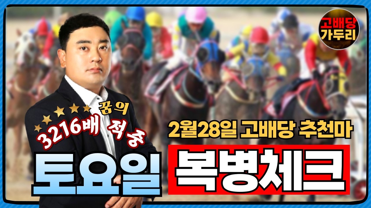 2월28일 토요일 서울경마 8경주 9경주 때립니다!!!