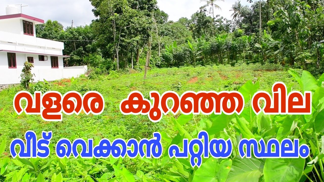 Plot For Sale In Ernakulam Kolenchery House Plot Sale Residential