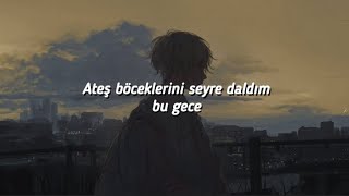 sertap erener // bahçede (sözleri/lyrics) Resimi