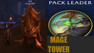 Midnight Mage Tower: Beast Mastery Hunter (Pack Leader) - Feltotem's Fall - WoW