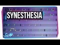 Understanding Synesthesia