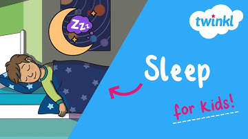 😴 All About Sleep for Kids | Why Is Sleep Important? | Twinkl USA