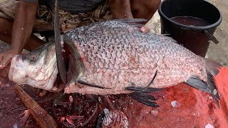 I never seen ll giant Katla fish cutting live in Fishmarket ll how to fish cutting