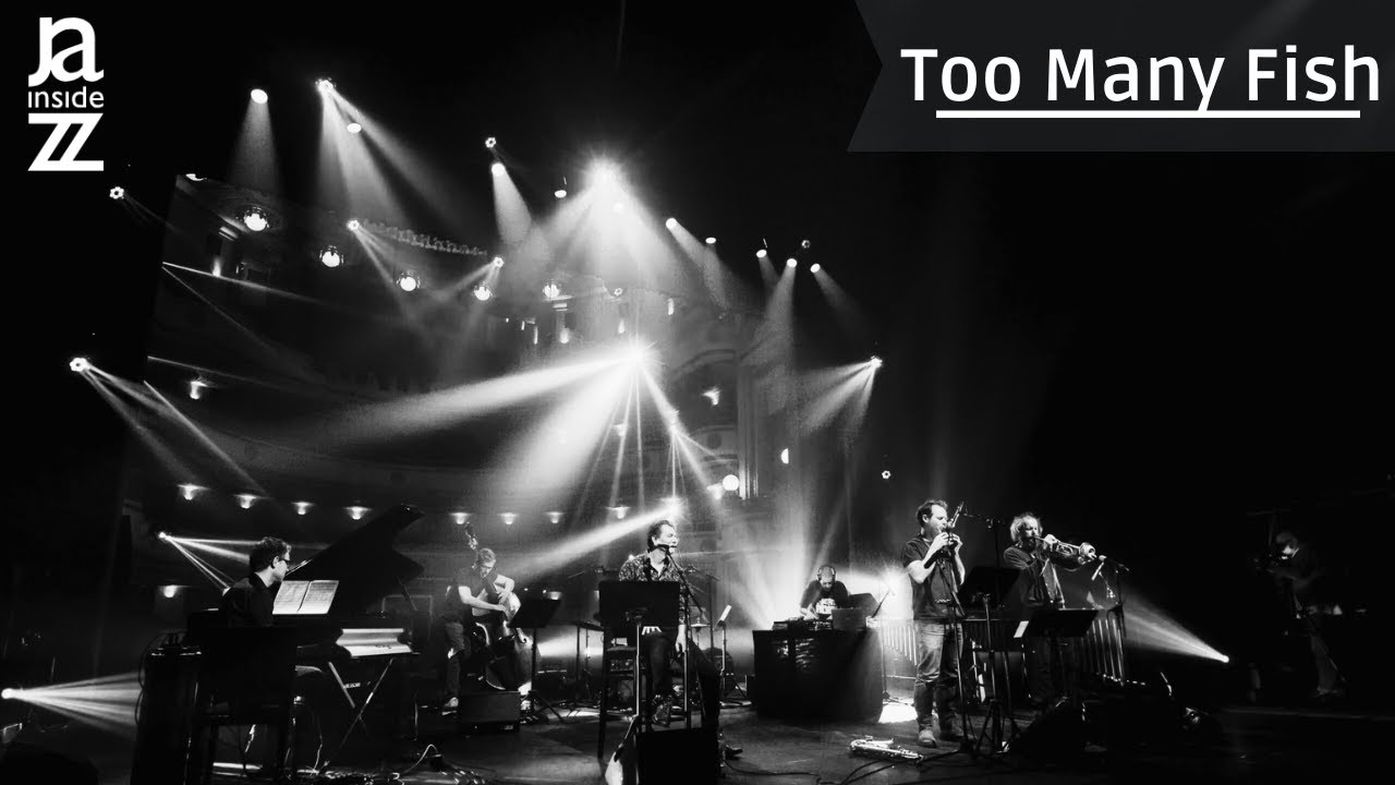 Too Many Fish... Celebrating 10 Years of Too Noisy Fish [Teaser] - YouTube