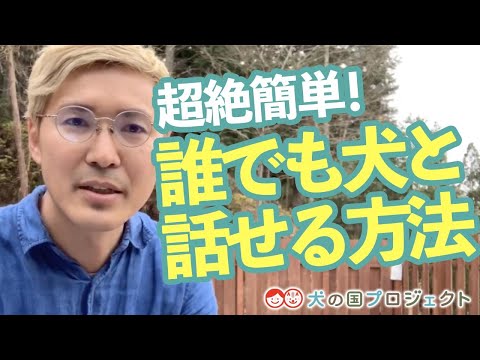 超絶簡単！！誰でも犬と話せる方法！！