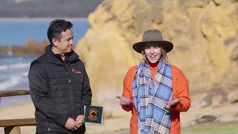 ALKO Dexter Tow Assist