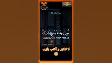 اللهم اِجعل القرآن الكريم ربيع قلوبنا ونور صدورنا و ذهاب أحزاننا 🤲 #القرآن_الكريم #المصحف #everyone
