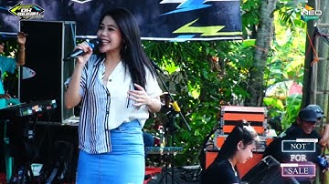 TANDA MERAH - Salma Novita - DK Musik So..So..Ho..Ha.. - DMS Digital Audio - D