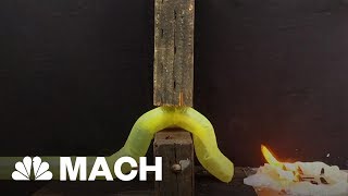 This Vine-Like Robot Could Be The Future of Search And Rescue Operations | Mach | NBC News