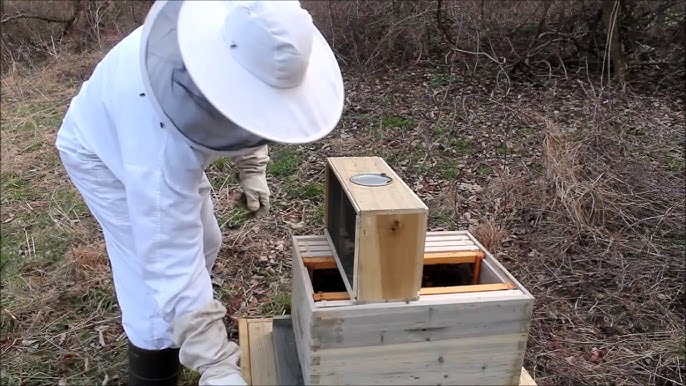 10 Tips for New Beekeepers