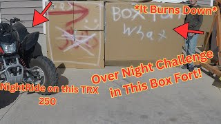 Over Night Challenge in a Box Fort! *It burns down*