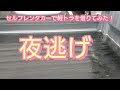 24時間レンタカーで軽トラを借りてみた❗(パート１)ダイハツハイゼットトラック