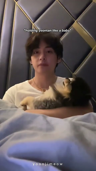 Taehyung's love for Yeontan is so heartwarming 🥺❤️