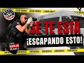 🚘 Peritaje  #judicial  en los #patios  ⚖️ Lo que NADIE te Enseña