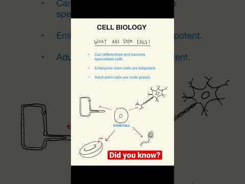 Video: Ce sunt celulele GCSE?