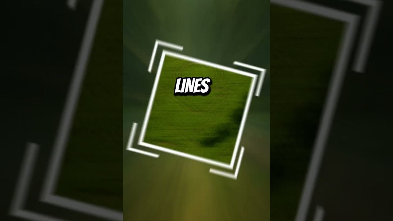 2,500‑Year‑Old Ancient Roads Discovered Under Amazon Jungle  