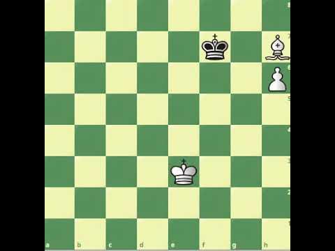 chess24.com on X: Rapport finishes the game with a queen less but