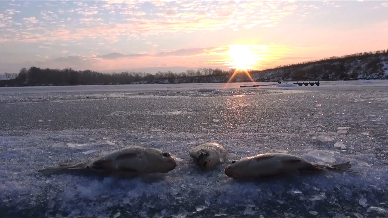 ⁣Ловля карася со льда. Рыбалка зимой от Михалыча