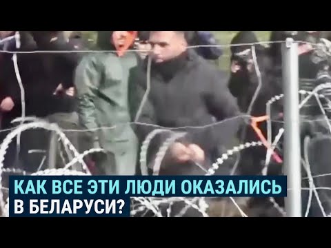 Как мигранты оказались в Беларуси?