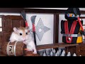 HAMSTER in NINJA TEMPLE - MAJOR HAMSTER vs SAMURAI CAT (2/3)