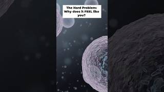 Unlocking Consciousness: The Brain's Biggest Mystery Explained! #shorts #consiousness #science
