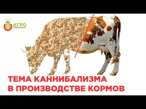 Проблема каннибализма при производстве кормов из био-отходов для сельскохозяйственных животных