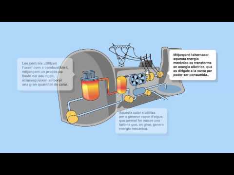 Vídeo: Com s'utilitza l'aigua en una central nuclear?