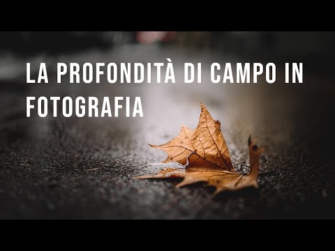 Video: Quale f-stop per una ridotta profondità di campo?