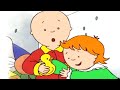 Caillou's Rubber Duck | Caillou Cartoon