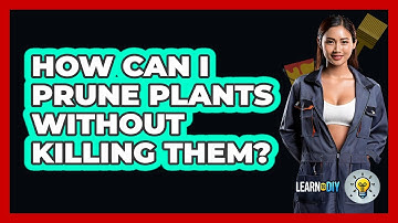 How Can I Prune Plants Without Killing Them? - LearnToDIY360.com