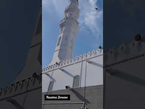 أكرم بل أعظم بحديث يروى عنهم