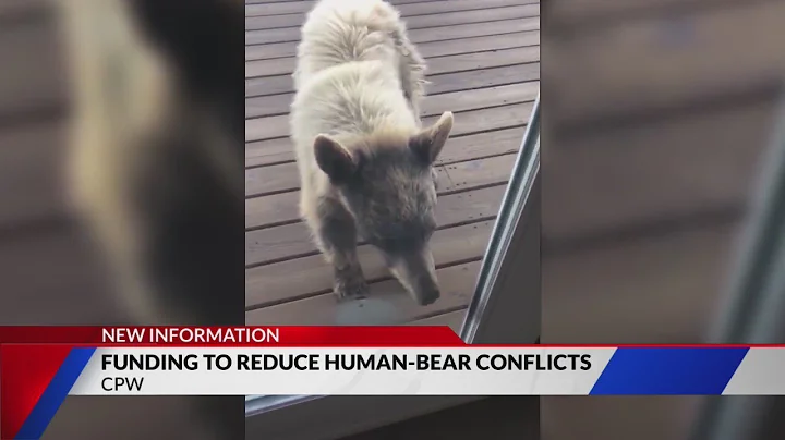 CPW offers $1M in grants to reduce human-bear conflicts