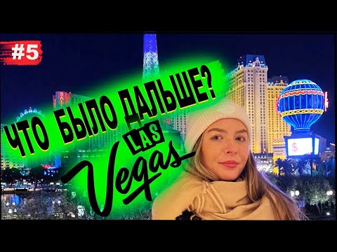 Video: Reševalna Organizacija V Las Vegasu Je Popravila 35.000. Divjo Mačko