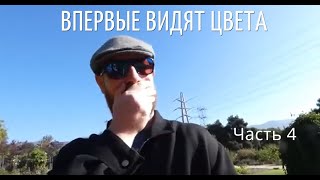 Дальтоники впервые видят цвета. Часть 4 | Попробуй не заплакать челлендж