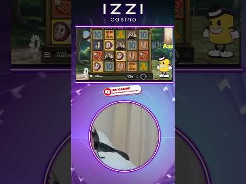 «Как начать играть в онлайн-казино: лучшие сайты для азартных игр в Интернете»