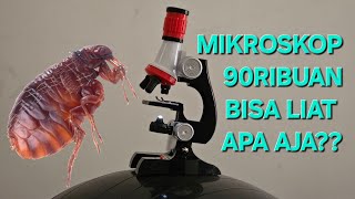 Mikroskop Mainan Bisa Liat Apa Aja?