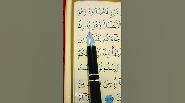 سورة الأنعام الأية 102 إلى 105 القارئ سعد الغامدي