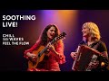 Soothing Fusion Waves LIVE | Flamenco Guitar + Accordion Chill Instrumental