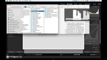 INSTALLING PRESETS IN LIGHTROOM CC CLASSIC LRTEMPLATE  - CHESTERPHY